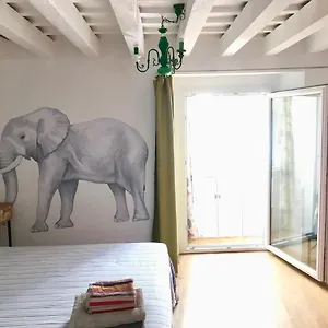 La Selva , Cádiz España