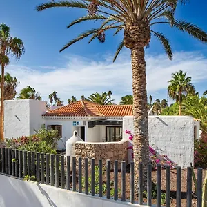 Sávila , Caleta de Fuste España